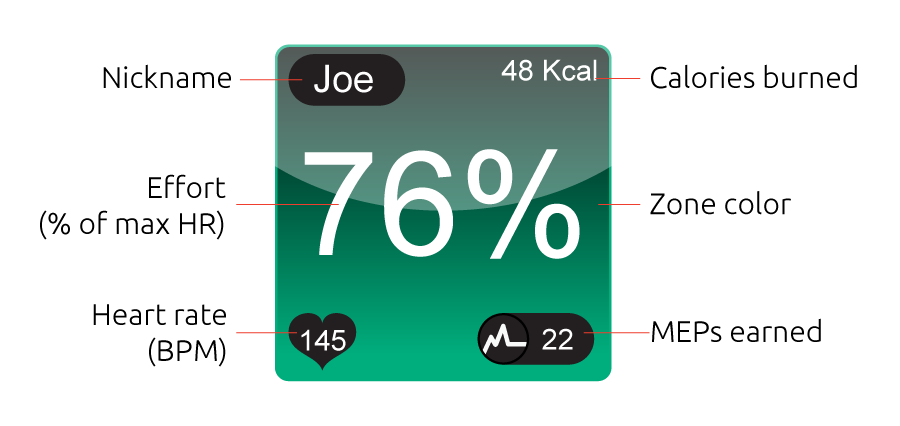 Anatomy of a MYZONE Tile MYZONE Tile info layout